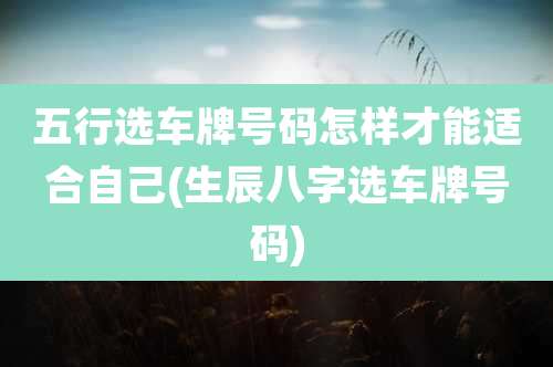 五行选车牌号码怎样才能适合自己(生辰八字选车牌号码)