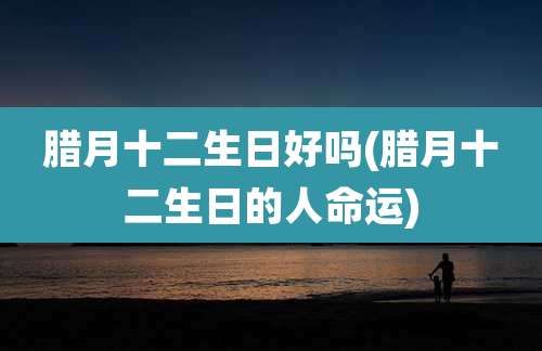 腊月十二生日好吗(腊月十二生日的人命运)