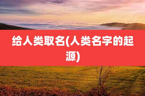 给人类取名(人类名字的起源)