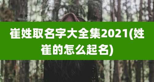 崔姓取名字大全集2021(姓崔的怎么起名)