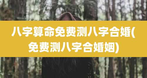 八字算命免费测八字合婚(免费测八字合婚姻)