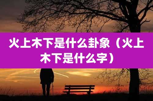 火上木下是什么卦象（火上木下是什么字）