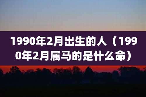 1990年2月出生的人（1990年2月属马的是什么命）