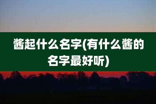 酱起什么名字(有什么酱的名字最好听)