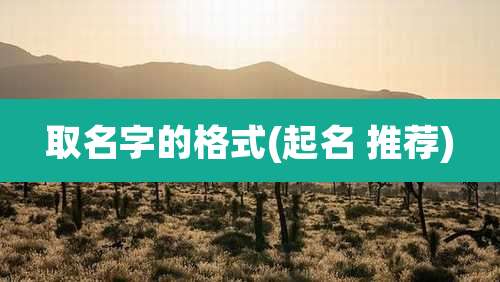 取名字的格式(起名 推荐)