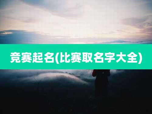 竞赛起名(比赛取名字大全)