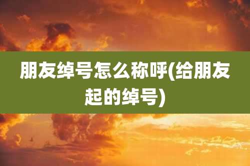 朋友绰号怎么称呼(给朋友起的绰号)