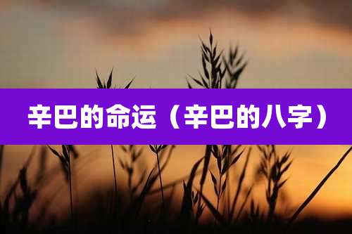 辛巴的命运（辛巴的八字）