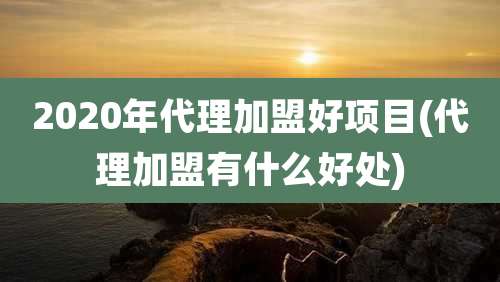 2020年代理加盟好项目(代理加盟有什么好处)