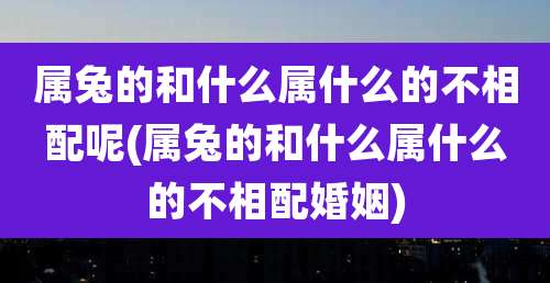 属兔的和什么属什么的不相配呢(属兔的和什么属什么的不相配婚姻)