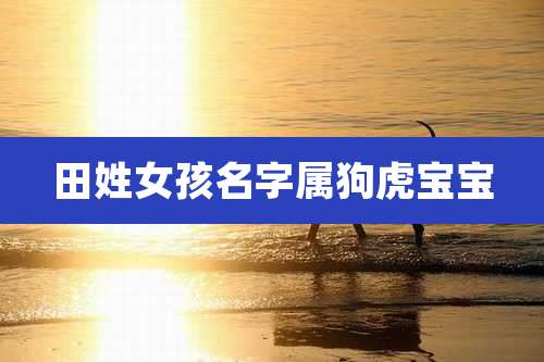 田姓女孩名字属狗虎宝宝