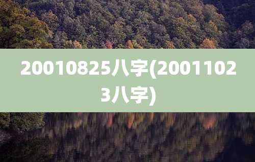 20010825八字(20011023八字)