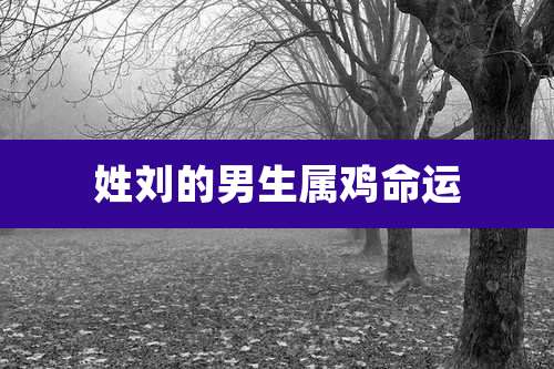 姓刘的男生属鸡命运