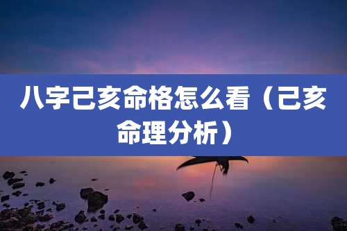 八字己亥命格怎么看（己亥命理分析）