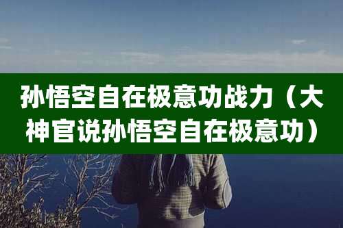 孙悟空自在极意功战力（大神官说孙悟空自在极意功）