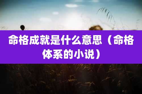 命格成就是什么意思(命格体系的小说)