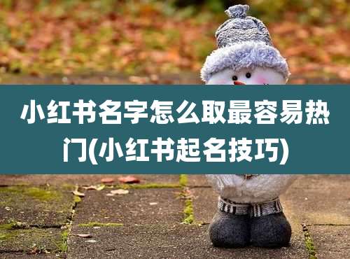 小红书名字怎么取最容易热门(小红书起名技巧)