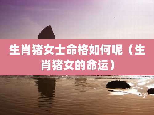 生肖猪女士命格如何呢（生肖猪女的命运）