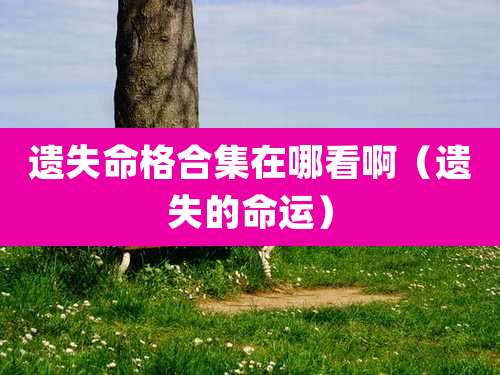 遗失命格合集在哪看啊(遗失的命运)