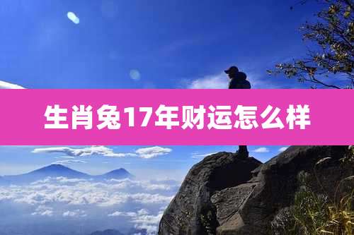 生肖兔17年财运怎么样