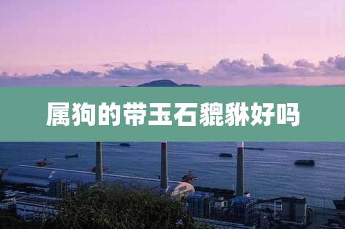 属狗的带玉石貔貅好吗