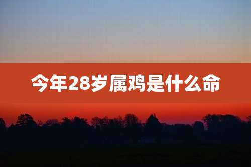 今年28岁属鸡是什么命