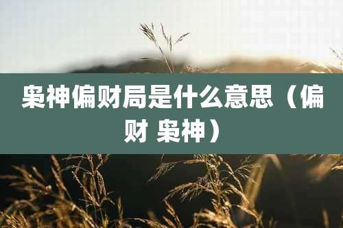 枭神偏财局是什么意思(偏财 枭神)