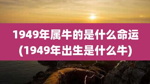 1949年属牛的是什么命运(1949年出生是什么牛)