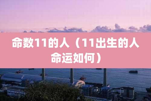 命数11的人（11出生的人命运如何）