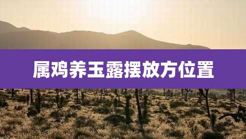 属鸡养玉露摆放方位置