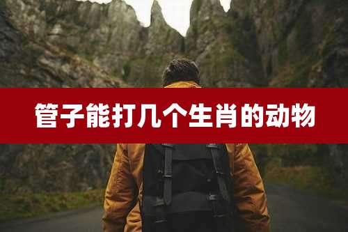 管子能打几个生肖的动物