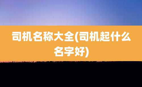 司机名称大全(司机起什么名字好)