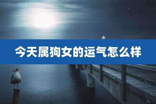 今天属狗女的运气怎么样