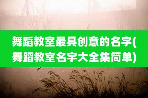 舞蹈教室最具创意的名字(舞蹈教室名字大全集简单)