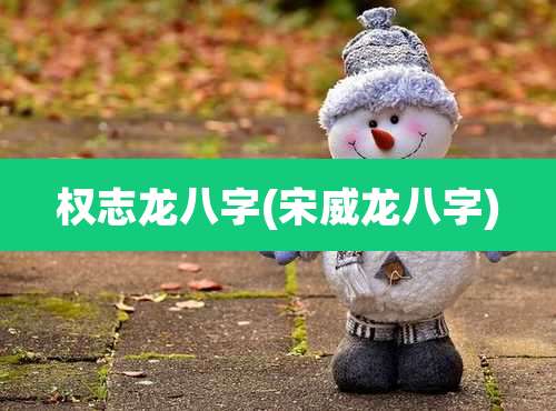 权志龙八字(宋威龙八字)