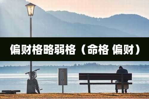 偏财格略弱格(命格 偏财)