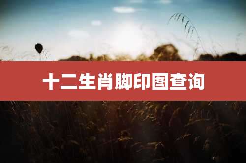十二生肖脚印图查询