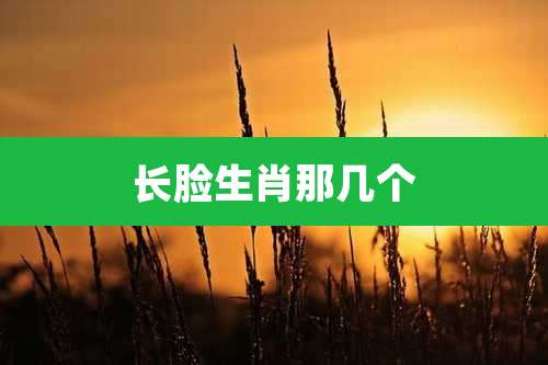 长脸生肖那几个