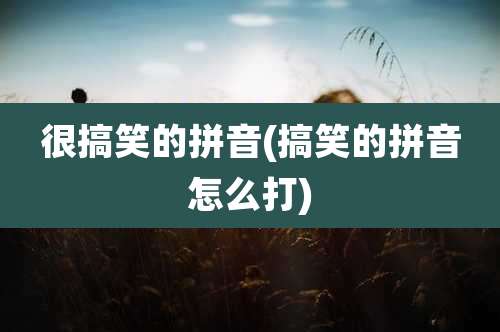 很搞笑的拼音(搞笑的拼音怎么打)