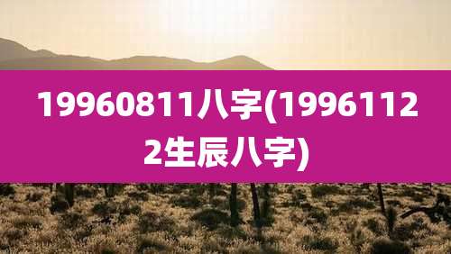 19960811八字(19961122生辰八字)