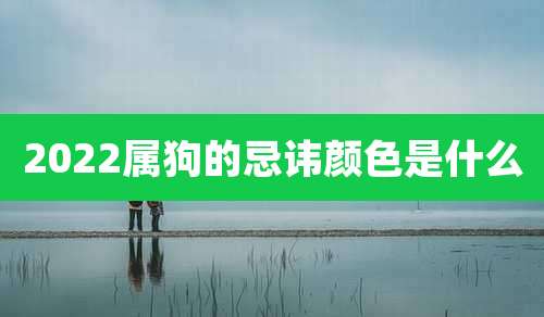 2022属狗的忌讳颜色是什么