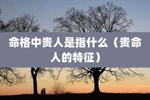 命格中贵人是指什么(贵命人的特征)