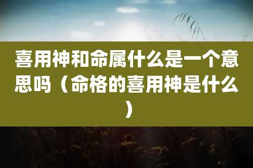 喜用神和命属什么是一个意思吗(命格的喜用神是什么)