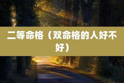二等命格(双命格的人好不好)