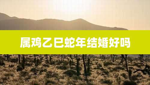 属鸡乙巳蛇年结婚好吗