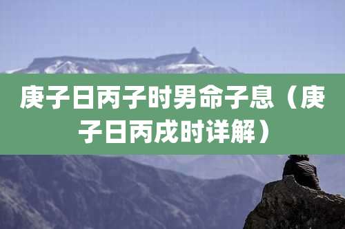 庚子日丙子时男命子息（庚子日丙戌时详解）