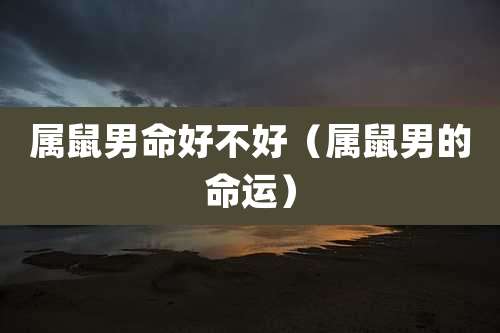 属鼠男命好不好（属鼠男的命运）