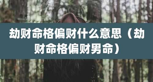 劫财命格偏财什么意思(劫财命格偏财男命)