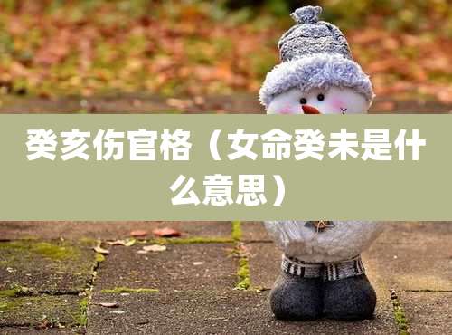 癸亥伤官格(女命癸未是什么意思)