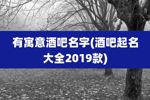 有寓意酒吧名字(酒吧起名大全2019款)